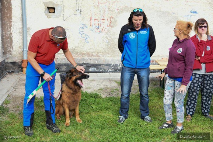 biegi-terenowe-przedszkolaka-dziao-sie-foto-70840