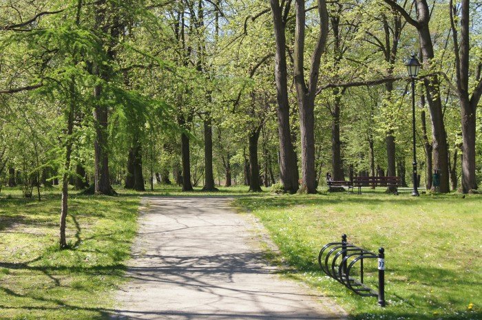 europejskie-dni-dziedzictwa-w-cieplicach-foto-70848