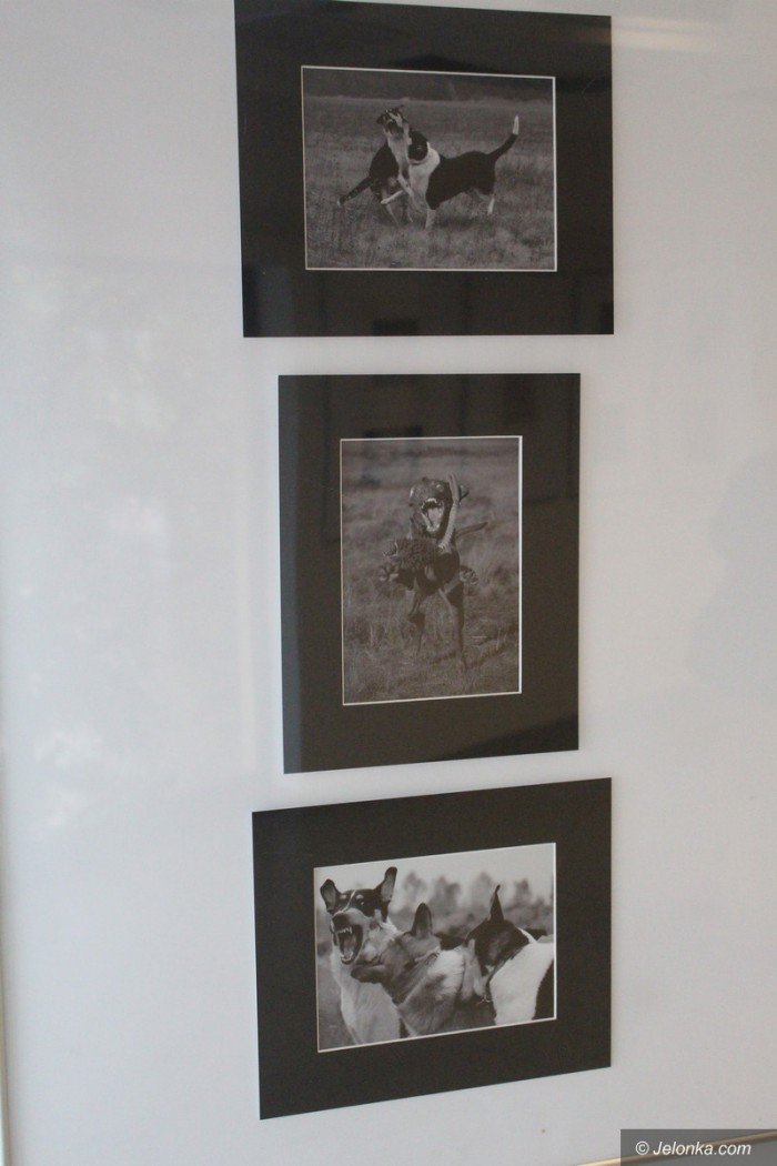 efekty-warsztatow-fotograficznych-w-muzeum-foto-70866