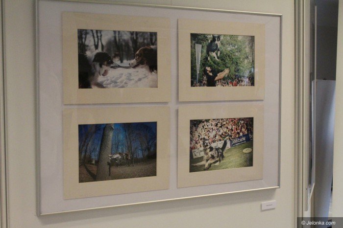 efekty-warsztatow-fotograficznych-w-muzeum-foto-70866