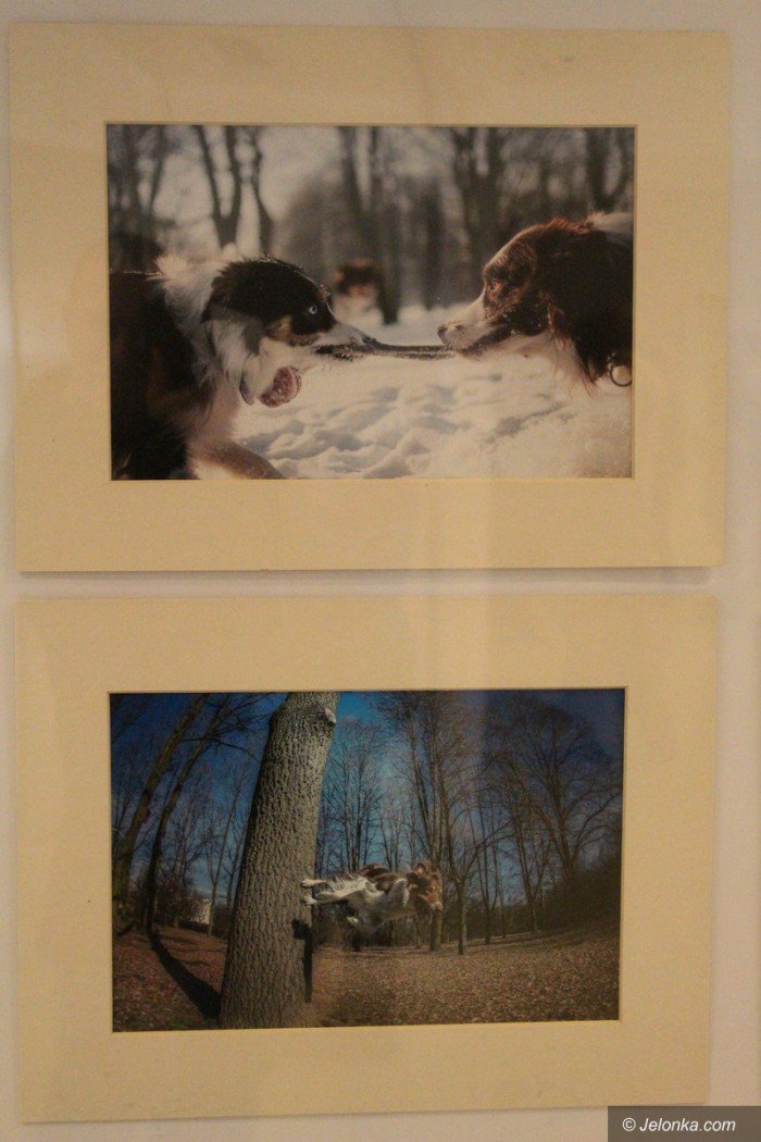 efekty-warsztatow-fotograficznych-w-muzeum-foto-70866