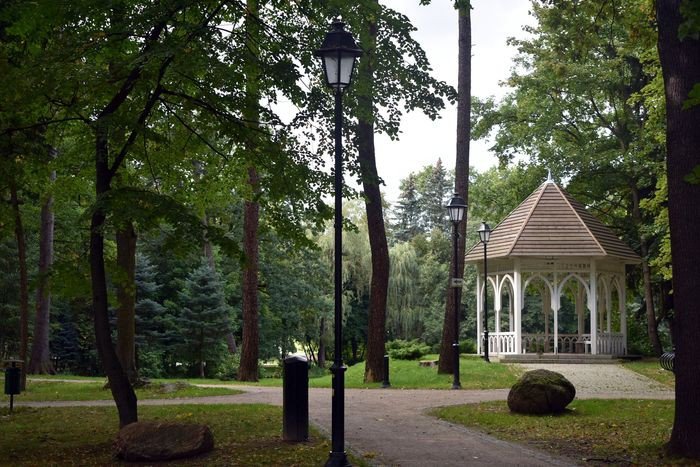 czytelnik-ciemno-w-parku-norweskim-foto-70874