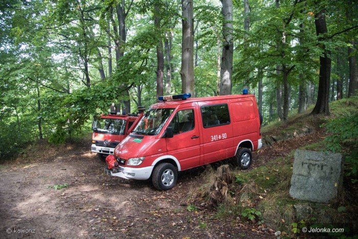 przy-grzybku-dachowa-samochod-ochrony-foto-70917