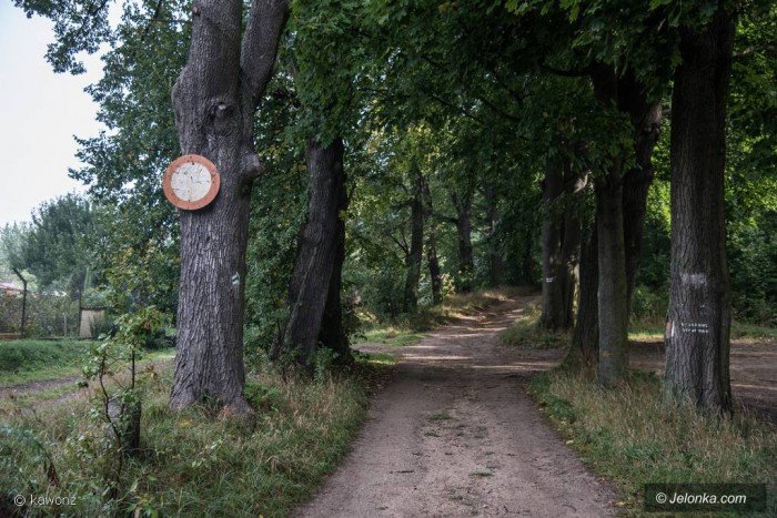 przy-grzybku-dachowa-samochod-ochrony-foto-70917