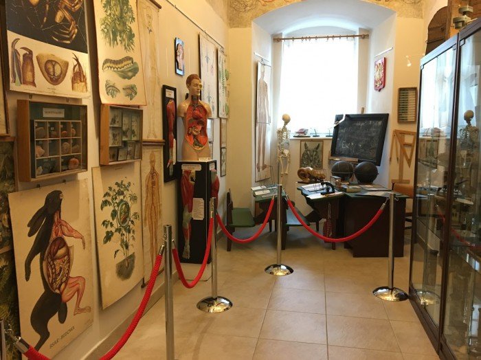 winda-w-muzeum-przyrodniczym-musi-dziaac-foto-70951