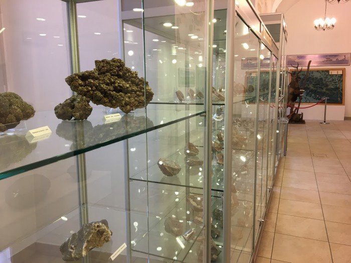 winda-w-muzeum-przyrodniczym-musi-dziaac-foto-70951