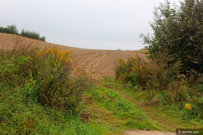 budimex-wybuduje-obwodnice-maciejowej-foto-70960