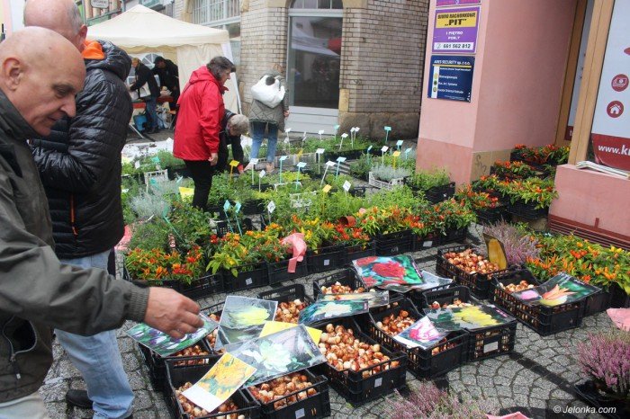 pogoda-nie-sprzyjaa-handlarzom-staroci-foto-71020
