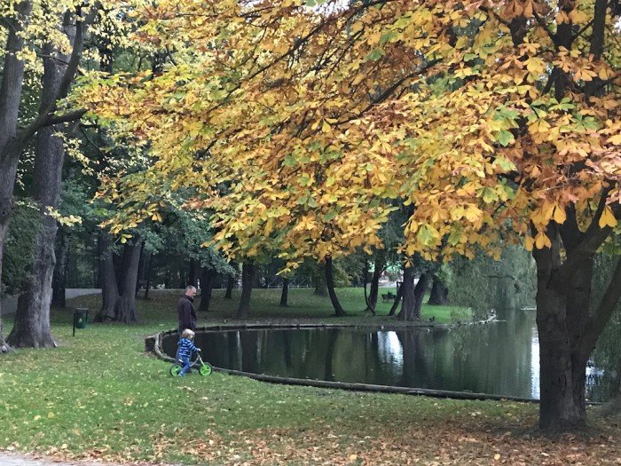 magiczny-spacer-w-deszczu-po-cieplickich-parkach-foto-71176