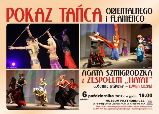 gorace-flamenco-w-muzeum-przyrodniczym-71230
