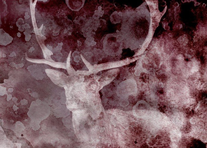 krajobraz-z-jeleniem-wkrotce-w-bwa-foto-71238
