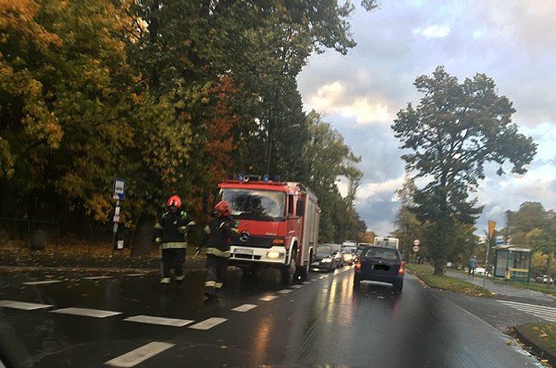 silny-wiatr-ponad-90-interwencji-strazakow-foto-71245