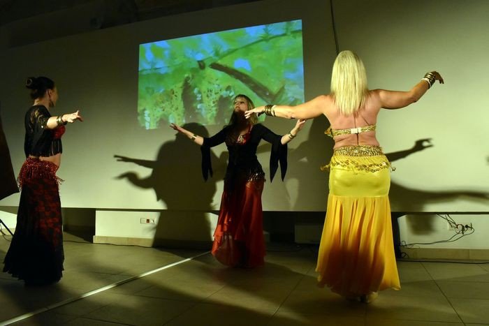 pokaz-tanca-flamenco-w-muzeum-przyrodniczym-foto-71262