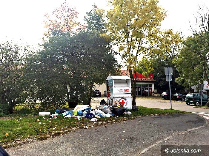 smietnisko-woko-smietnikow-foto-71274