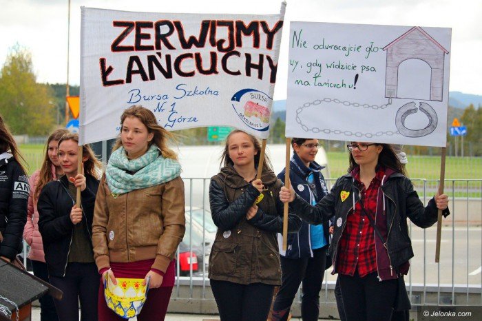 poczuc-sie-jak-pies-na-ancuchu-foto-71275