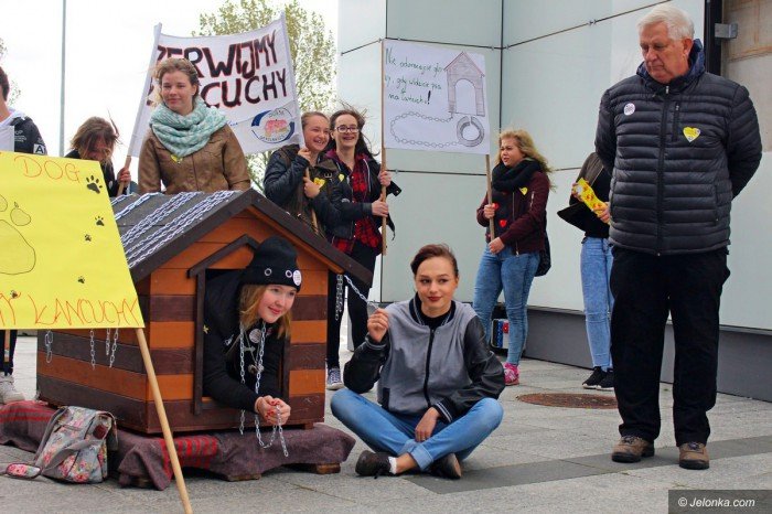 poczuc-sie-jak-pies-na-ancuchu-foto-71275
