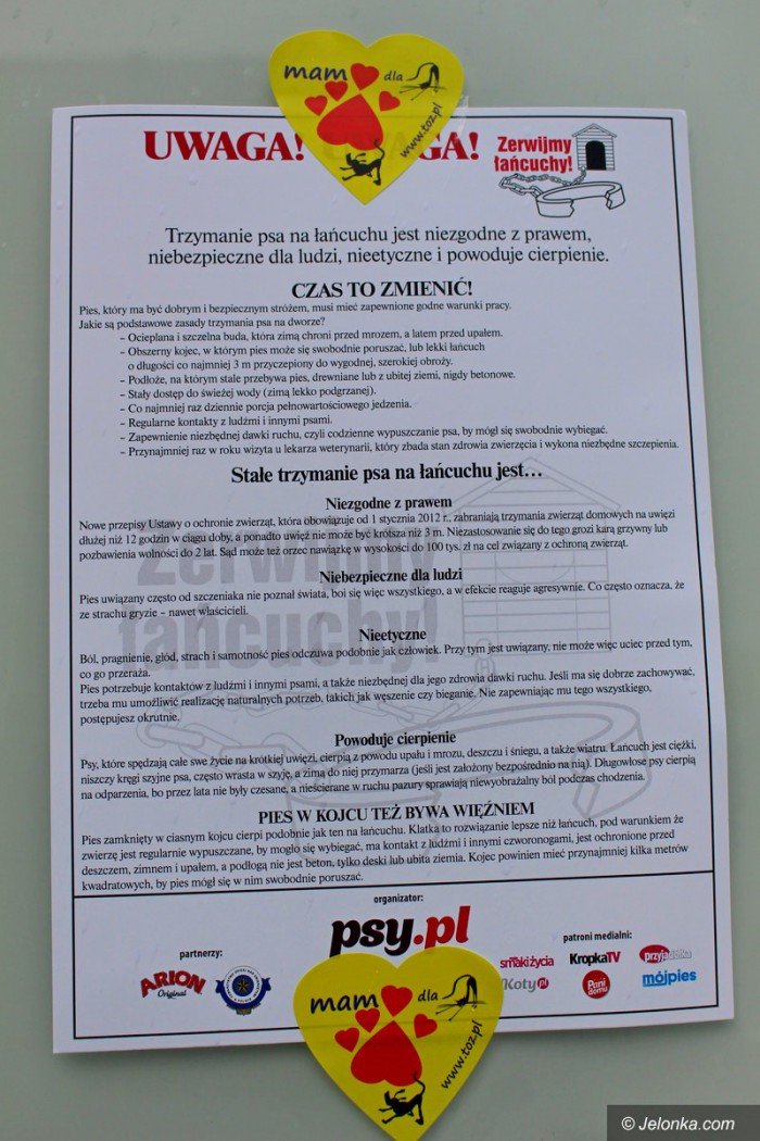 poczuc-sie-jak-pies-na-ancuchu-foto-71275
