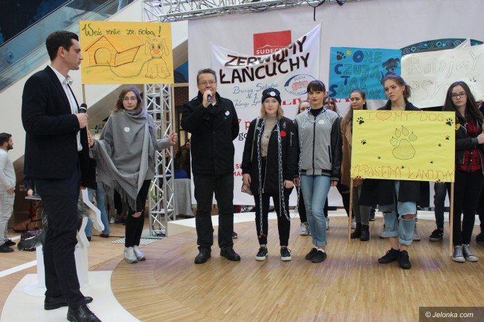 poczuc-sie-jak-pies-na-ancuchu-foto-71275