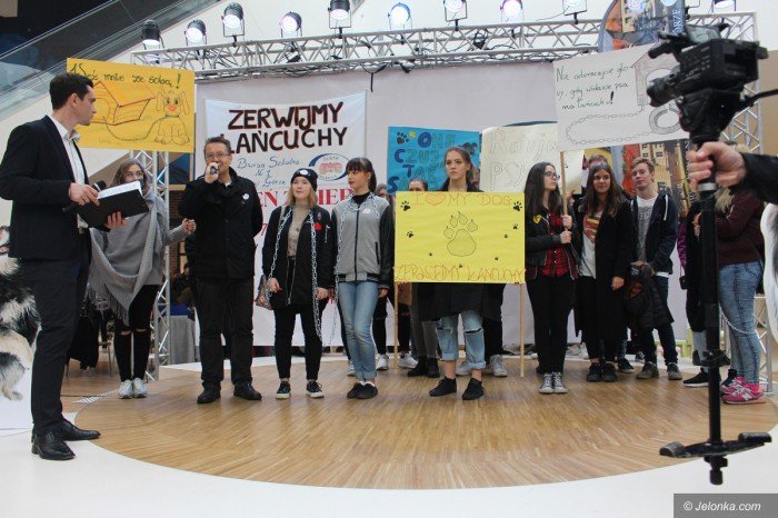 poczuc-sie-jak-pies-na-ancuchu-foto-71275