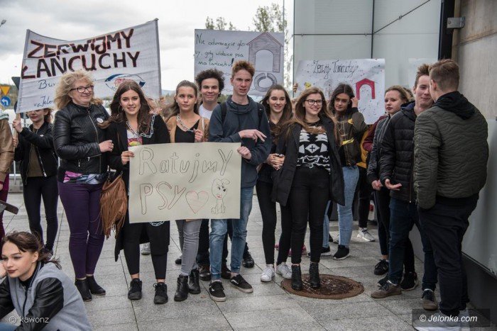 poczuc-sie-jak-pies-na-ancuchu-foto-71275