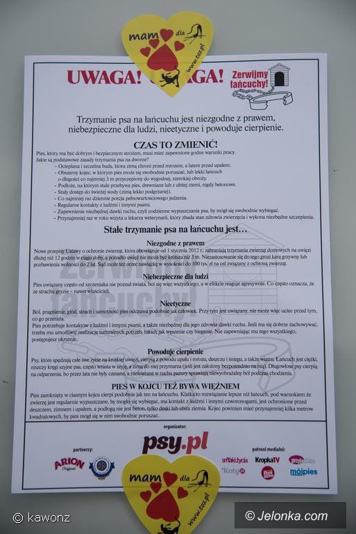 poczuc-sie-jak-pies-na-ancuchu-foto-71275