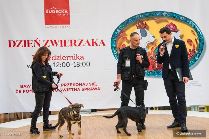 swieto-naszych-pupili-w-galerii-sudeckiej-foto-71285