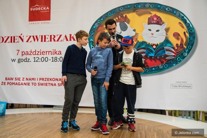 swieto-naszych-pupili-w-galerii-sudeckiej-foto-71285