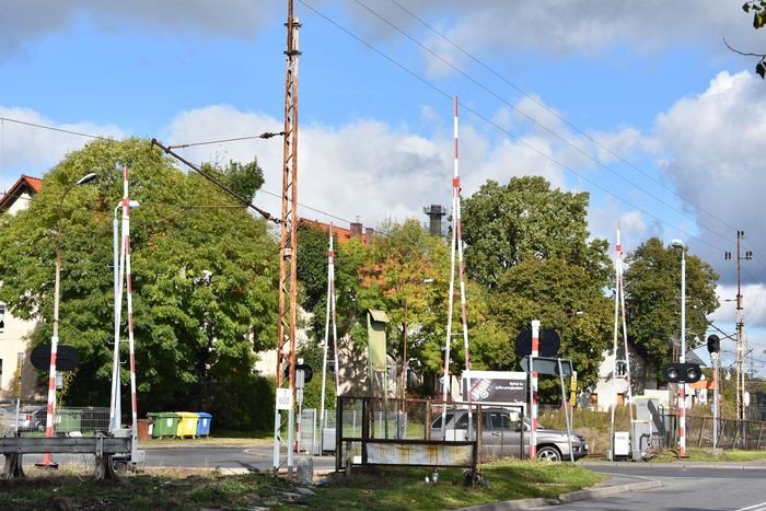 czytelnicy-przez-pociagi-pekaja-nam-sciany-foto-71308