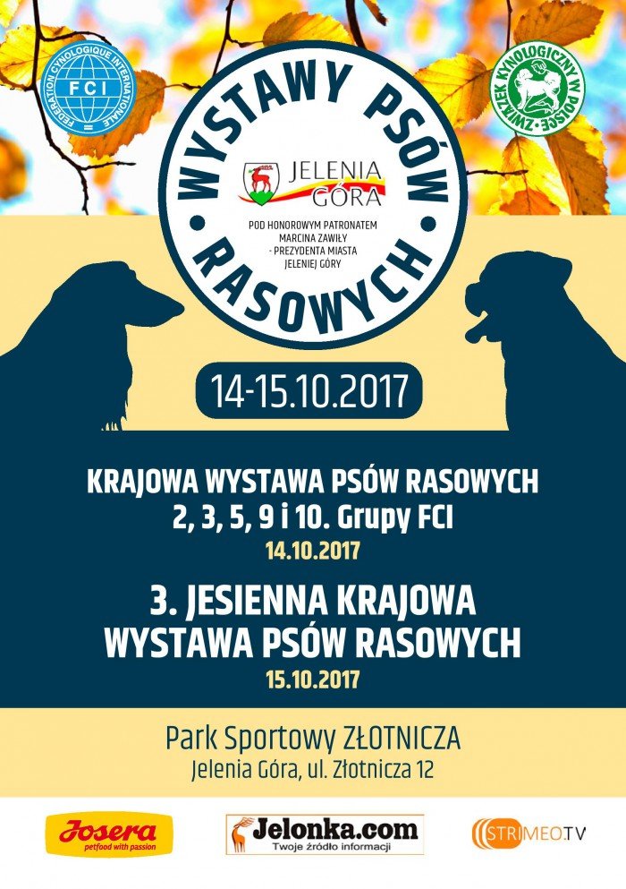 ponad-1000-psich-pieknosci-na-zotniczej-71341