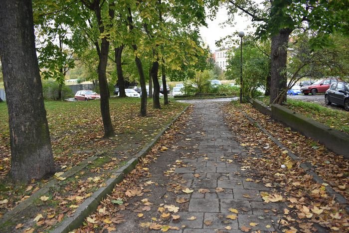 uliczne-bajoro-w-centrum-miasta-foto-71358