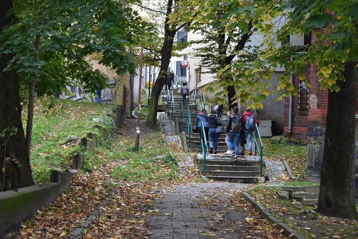 uliczne-bajoro-w-centrum-miasta-foto-71358