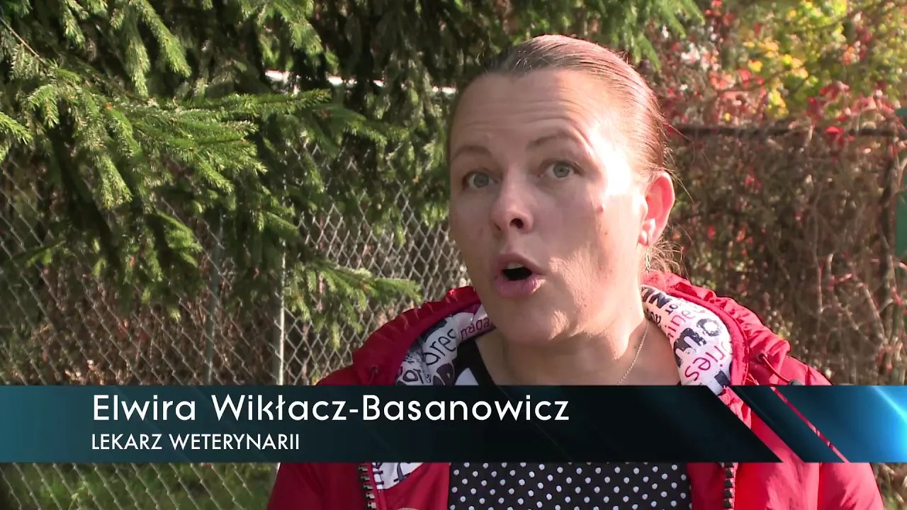 nietypowe-znalezisko-na-smietniku-video-71391