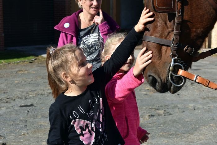 zoto-jesienny-festyn-sw-huberta-w-rybnicy-foto-71412