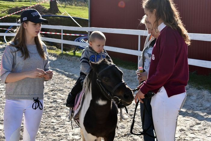 zoto-jesienny-festyn-sw-huberta-w-rybnicy-foto-71412