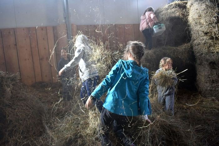 zoto-jesienny-festyn-sw-huberta-w-rybnicy-foto-71412