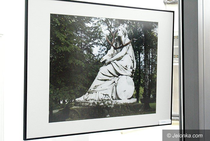 wrzesniowe-plakaty-i-one-day-photo-z-jeleniem-foto-71425