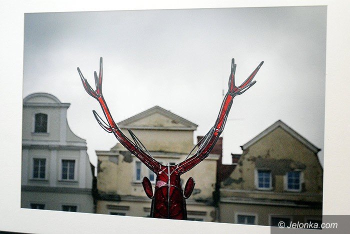 wrzesniowe-plakaty-i-one-day-photo-z-jeleniem-foto-71425