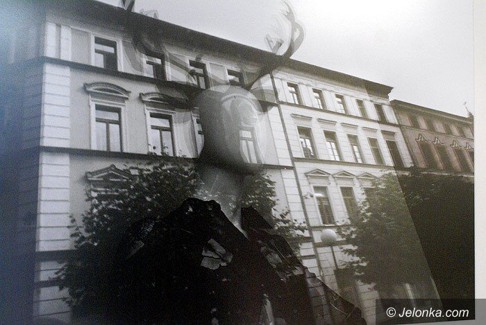 wrzesniowe-plakaty-i-one-day-photo-z-jeleniem-foto-71425