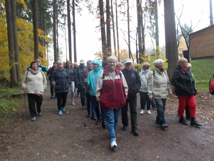jesienny-spacer-w-koronach-drzew-foto-71487