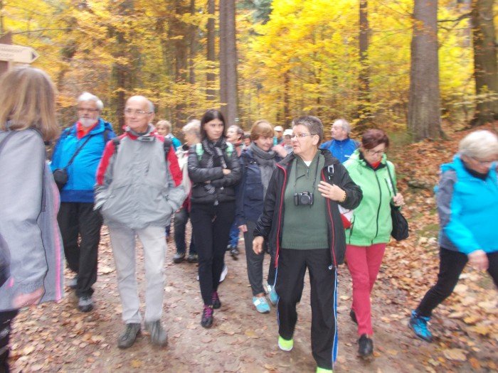jesienny-spacer-w-koronach-drzew-foto-71487