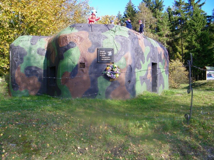 jesienny-spacer-w-koronach-drzew-foto-71487