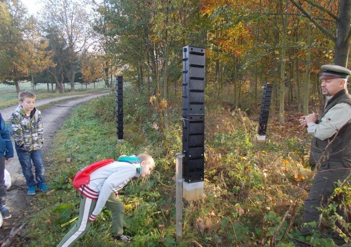 pomagaja-zwierzetom-lesnym-przetrwac-zime-foto-71491
