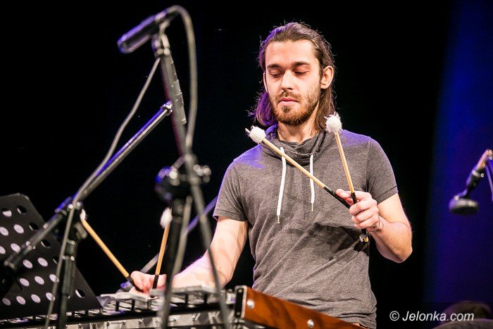 vibe-quartet-ze-zotym-krokusem-foto-71561