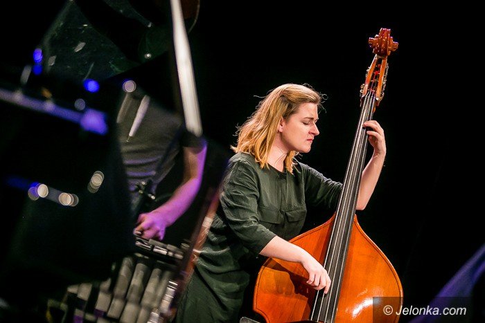 vibe-quartet-ze-zotym-krokusem-foto-71561