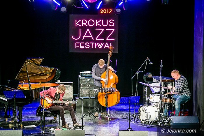 vibe-quartet-ze-zotym-krokusem-foto-71561