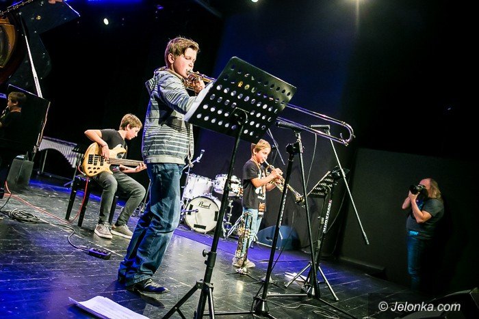 vibe-quartet-ze-zotym-krokusem-foto-71561