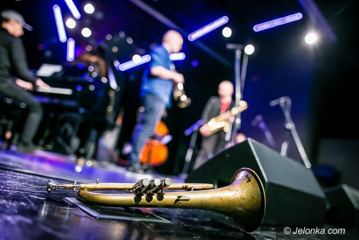 vibe-quartet-ze-zotym-krokusem-foto-71561