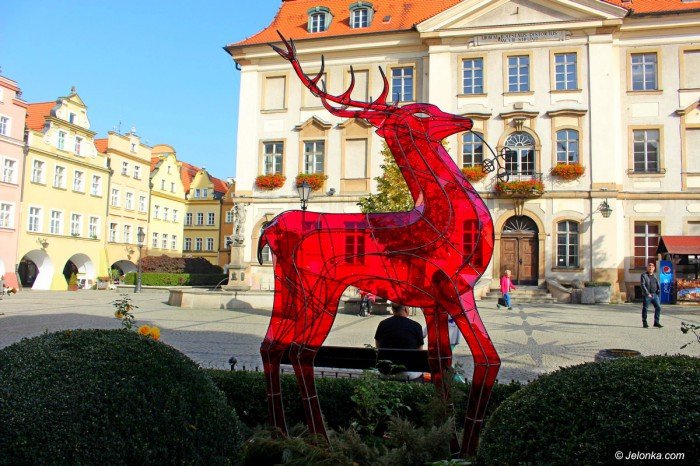 czerwony-jelonek-zostaje-pod-ratuszem-foto-71612
