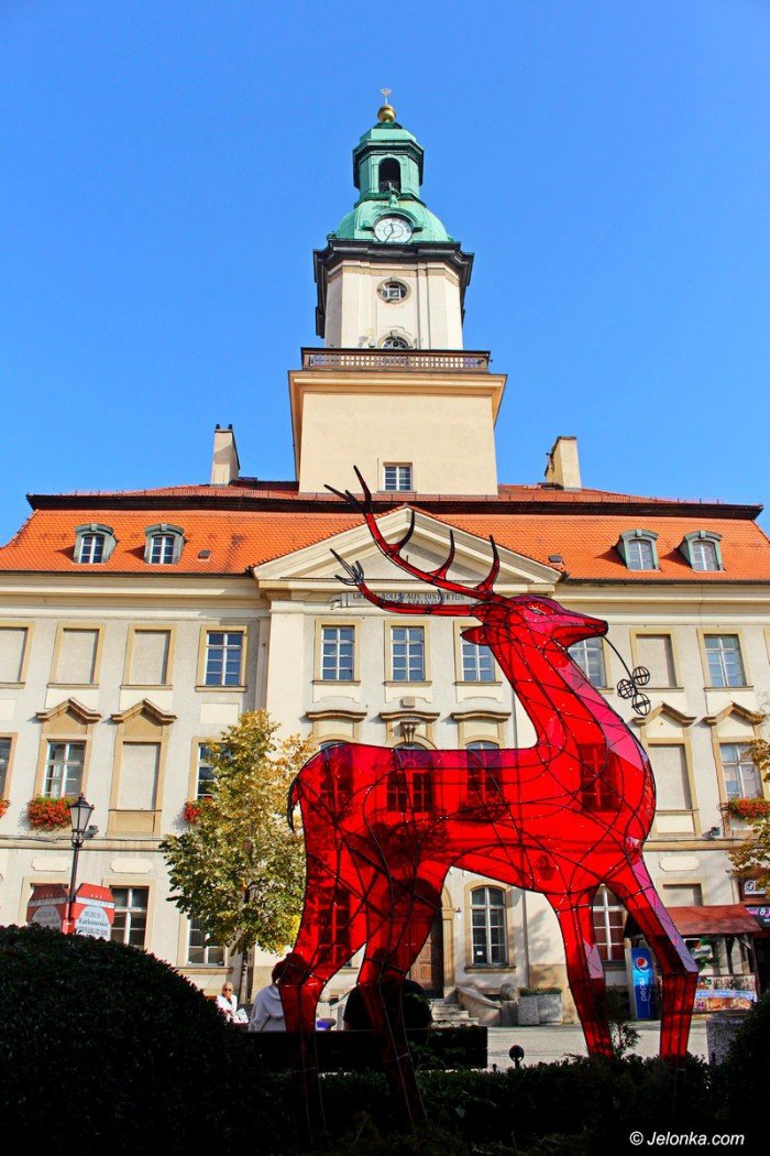 czerwony-jelonek-zostaje-pod-ratuszem-foto-71612