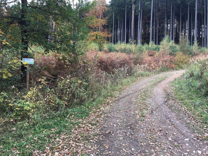 gora-gapy-widoki-jeszcze-piekniejsze-foto-71645